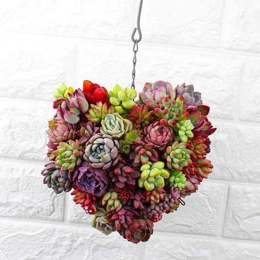 "It’s the Little Touches" - Hanging Heart Succulent Planter