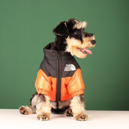 "I’m Cozy" -  Dog Winter Jacket