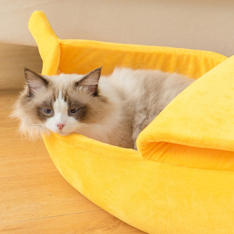 "Life is Bananas" - Cat Bed