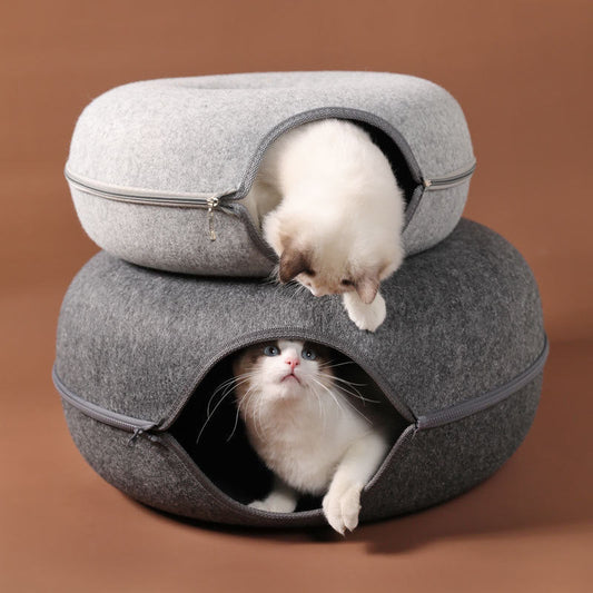 "Cats Just Wanna Have Fun" - Cat Tunnel Toy