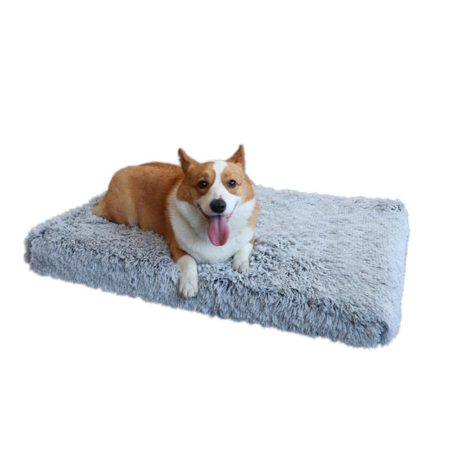 "I Sleep Fancy" - Plush Dog Bed