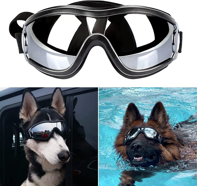 "I Look Good" - Dog Goggle Glasses