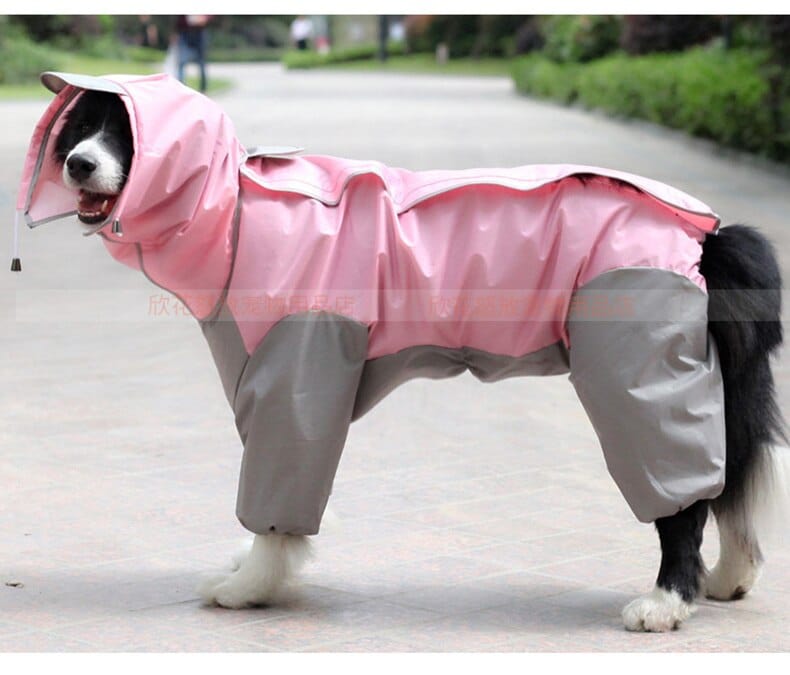 "Staying Dry Never Looked So Good - Dog Raincoat