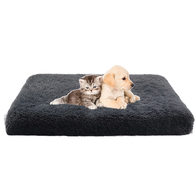 "I Sleep Fancy" - Plush Dog Bed