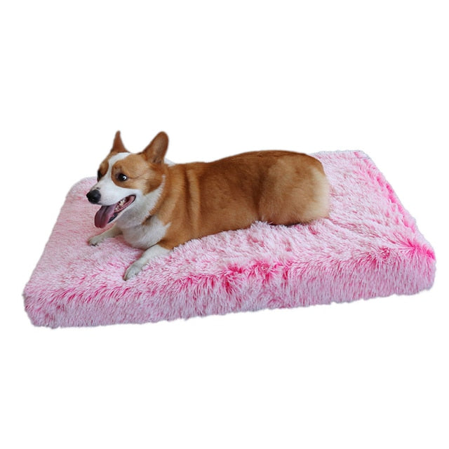 "I Sleep Fancy" - Plush Dog Bed