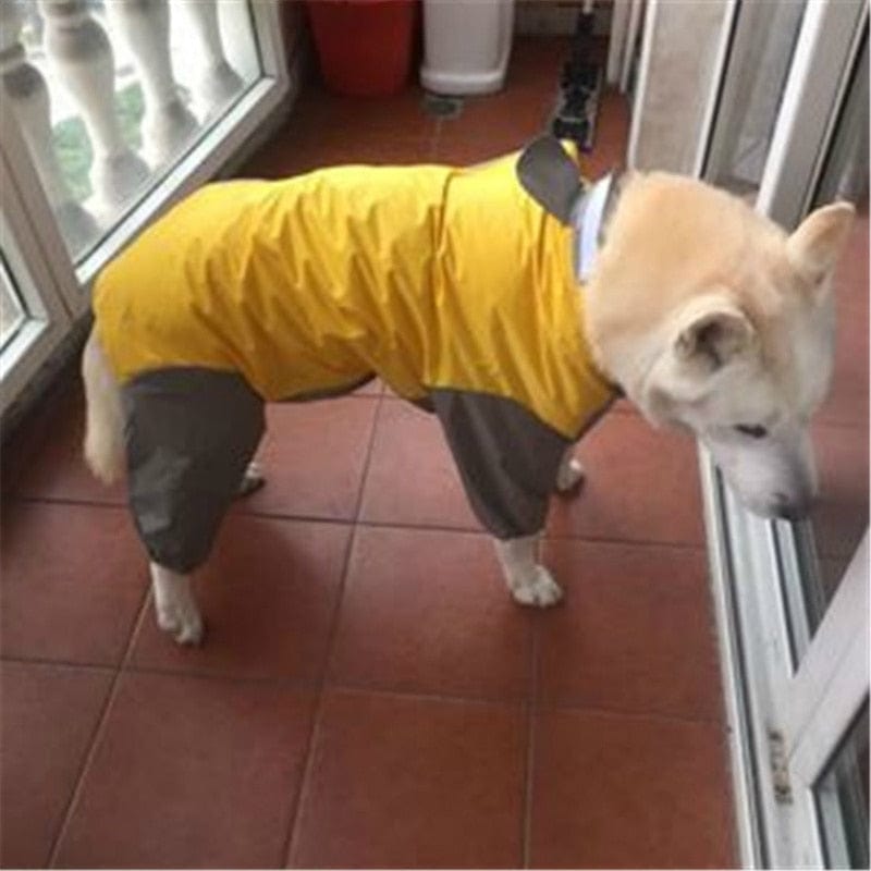 "Staying Dry Never Looked So Good - Dog Raincoat