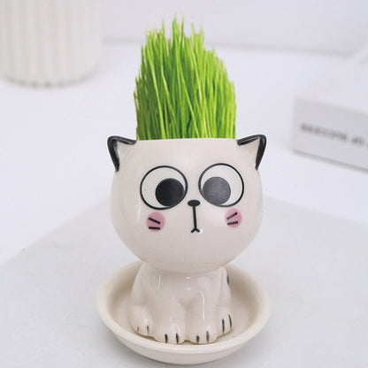 "Grow With Me" - Cat Shaped Flowerpot