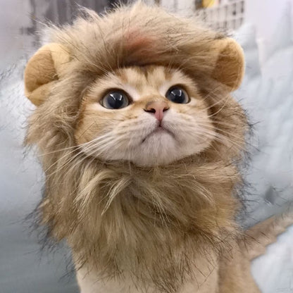 "Don’t Underestimate My Fierce" - Cat Costume