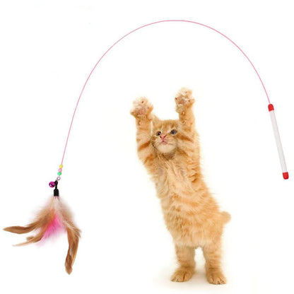 "Yay Fun Time!" - Cat Feather Toy