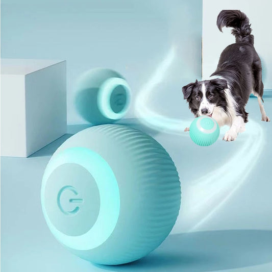 "My Smart Ball" - Dog Ball