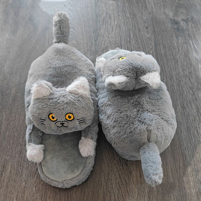 "Cuddle While I Walk" - Cat Slippers