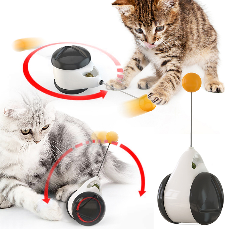 "I’m Engaged & Learning" - Cat Education Toy