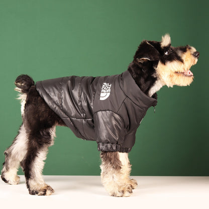 "I’m Cozy" -  Dog Winter Jacket