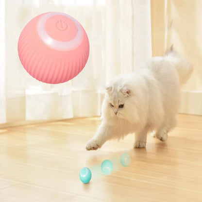 "Rolling with the Fun" - SMART Cat Ball