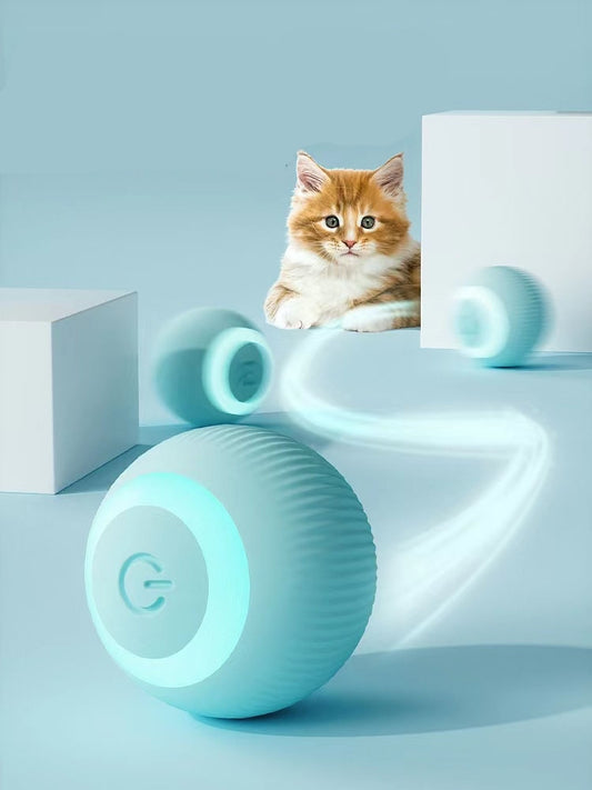 "Rolling with the Fun" - SMART Cat Ball