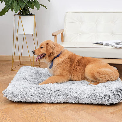 "I Sleep Fancy" - Plush Dog Bed