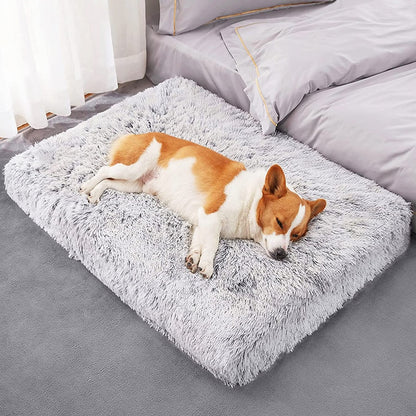 "I Sleep Fancy" - Plush Dog Bed