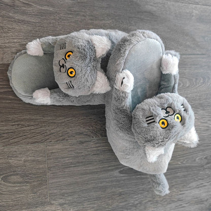 "Cuddle While I Walk" - Cat Slippers