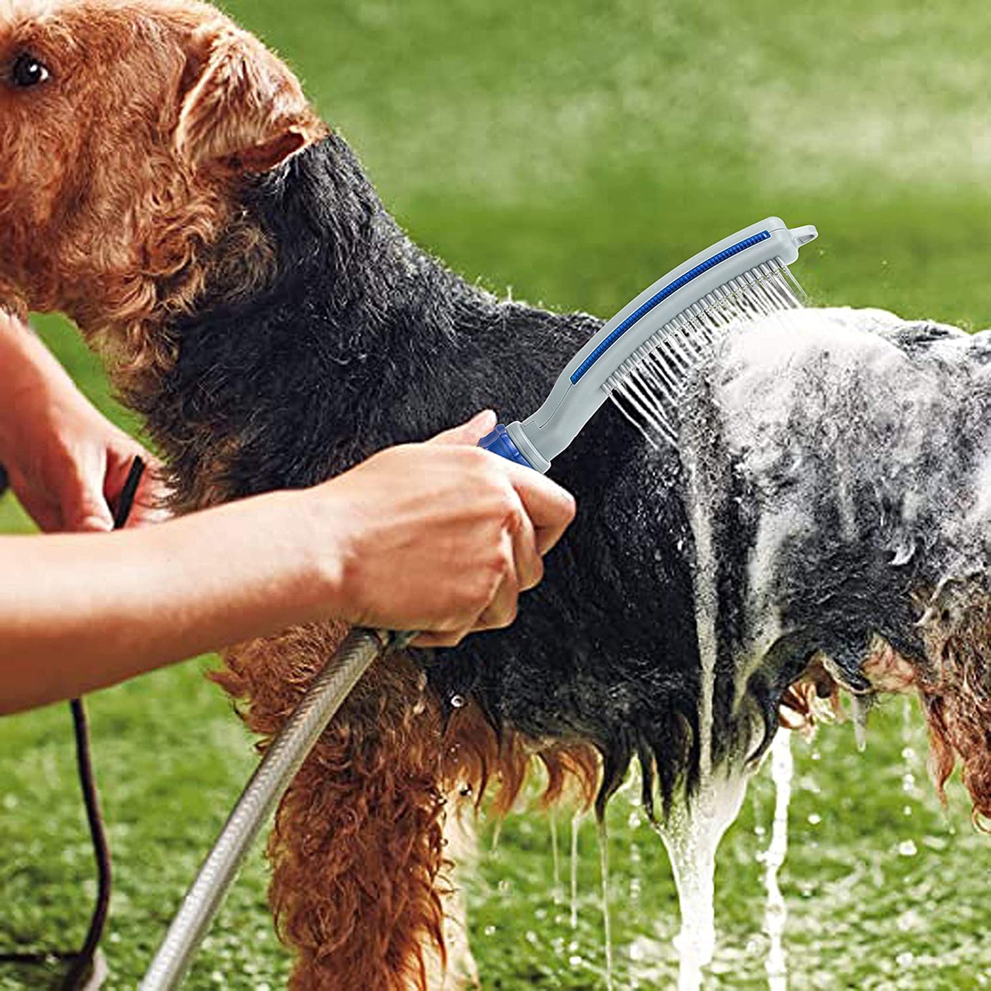 "I Shower Fancy" - Dog Sprayer Attachment