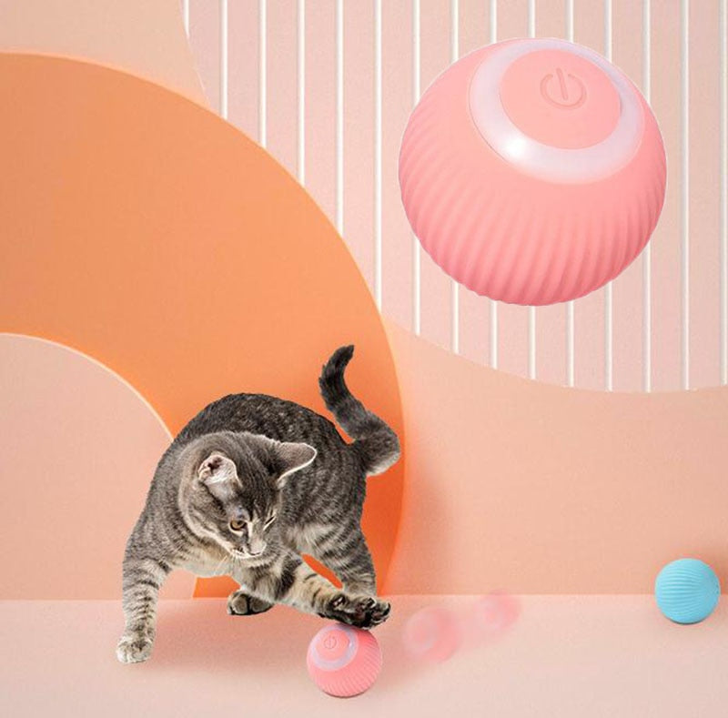 "Rolling with the Fun" - SMART Cat Ball