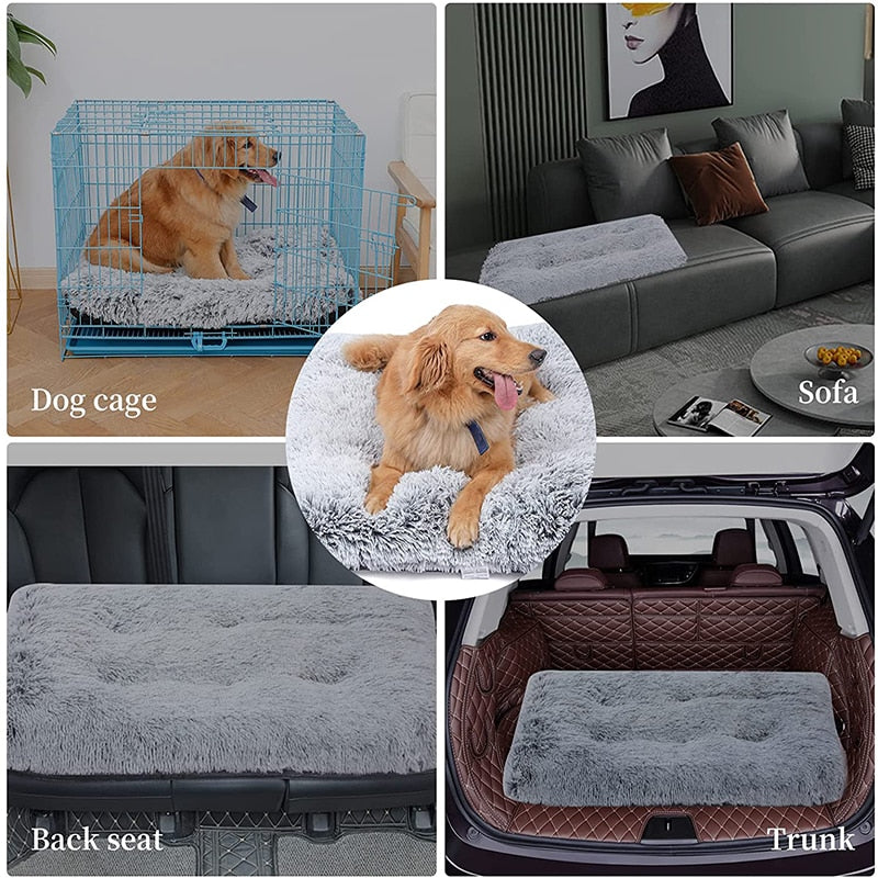 "I Sleep Fancy" - Plush Dog Bed