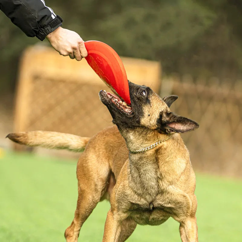 "Frisbee Funday" - Easy Grip Dog Frisbee