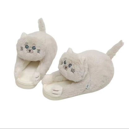 "Cuddle While I Walk" - Cat Slippers