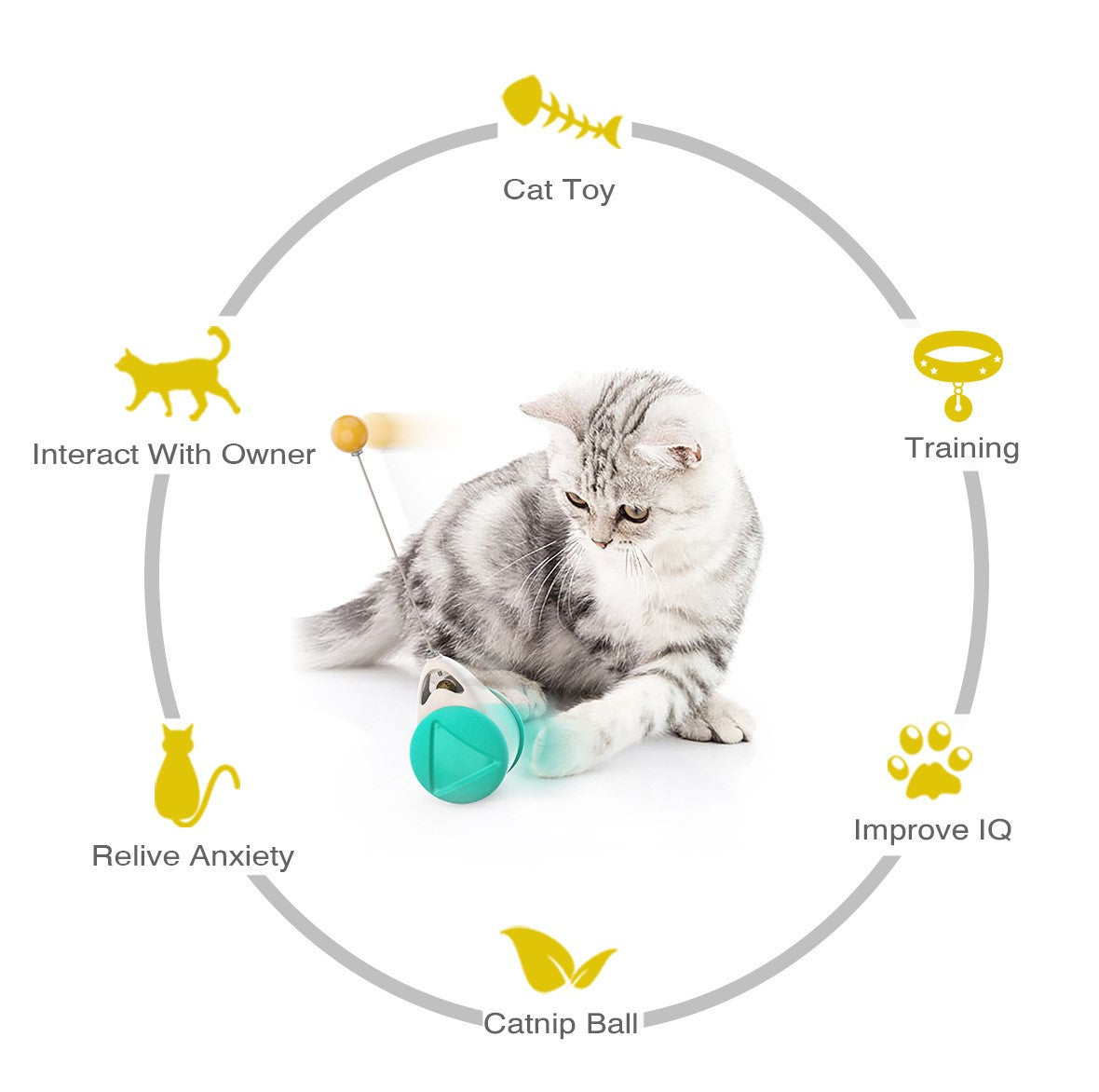 "I’m Engaged & Learning" - Cat Education Toy