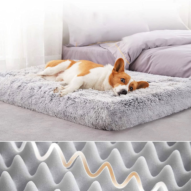 "I Sleep Fancy" - Plush Dog Bed