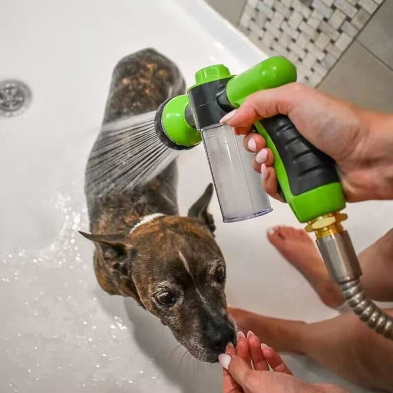 "Clean & Pristine" - Dog Spa Jet