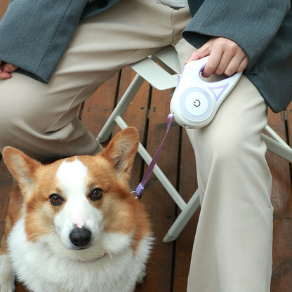 "I Stay Safe" - LED Dog Leash