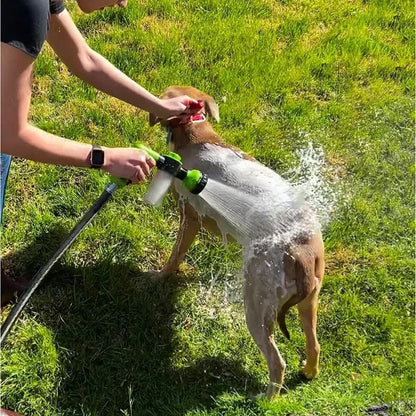 "Clean & Pristine" - Dog Spa Jet