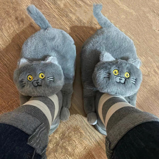 "Cuddle While I Walk" - Cat Slippers