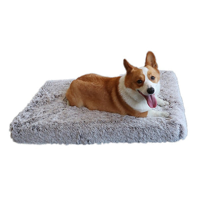 "I Sleep Fancy" - Plush Dog Bed