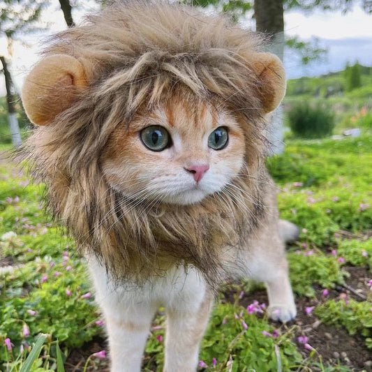"Don’t Underestimate My Fierce" - Cat Costume